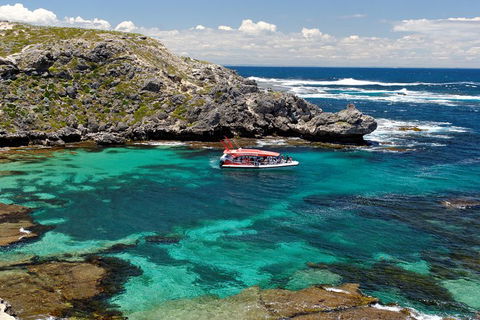 Adventure Rottnest Tour With Ferry & Adventure Cruise From Perth Or Fremantle - Accommodation QLD 5