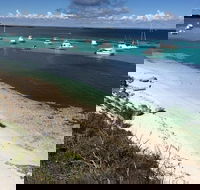 Experience Rottnest with Ferry  Bike Hire from Perth or Fremantle - Accommodation QLD