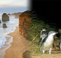 Melbourne Super Saver Great Ocean Road  Phillip Island  Attraction Pass - Accommodation QLD