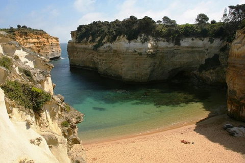 Melbourne Super Saver: Great Ocean Road + Mornington Peninsula + Attraction Pass - Accommodation QLD 3