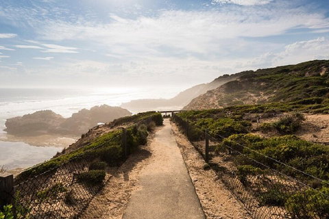 Melbourne Super Saver: Great Ocean Road + Mornington Peninsula + Attraction Pass - Accommodation QLD 4