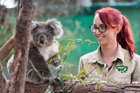 Small-Group Phillip Island Penguin Parade Day Tour From Melbourne - Accommodation QLD 0