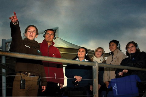 Phillip Island Penguin Parade Express Tour From Melbourne - Accommodation QLD 1