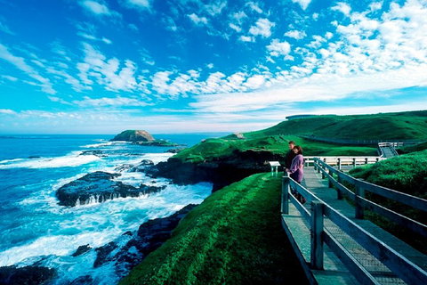 Phillip Island Penguin Parade Express Tour From Melbourne - Accommodation QLD 4