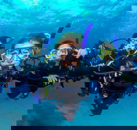 Great Barrier Reef Diving and Snorkeling Cruise from Cairns - Accommodation QLD
