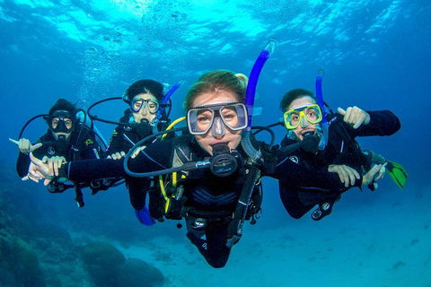 Great Barrier Reef Diving And Snorkeling Cruise From Cairns - Accommodation QLD 0