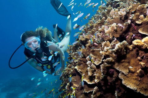 Great Barrier Reef Diving And Snorkeling Cruise From Cairns - Accommodation QLD 1
