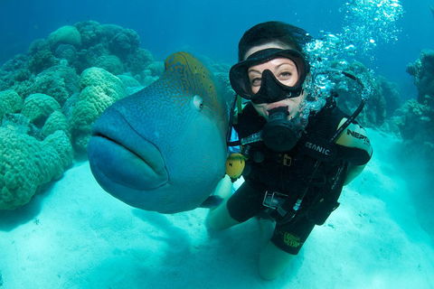 Great Barrier Reef Diving And Snorkeling Cruise From Cairns - Accommodation QLD 2