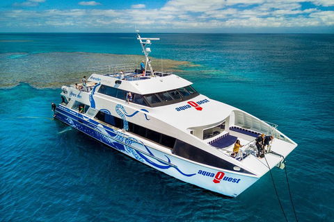 Great Barrier Reef Diving And Snorkeling Cruise From Cairns - Accommodation QLD 5