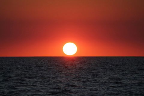Roebuck Bay Snubfin Dolphin Cruise - Accommodation QLD 3