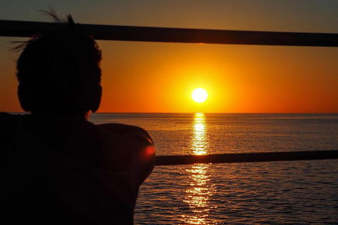 Roebuck Bay Snubfin Dolphin Cruise - Accommodation QLD 4