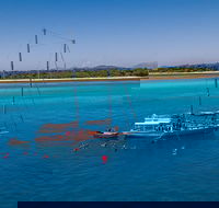 Ocean Free Green Island  Great Barrier Reef Snorkel Cruise Cairns 25 guests - Accommodation QLD