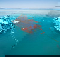 Ocean Freedom Great Barrier Reef Personal Luxury Snorkel  Dive Cruise Cairns - Accommodation QLD