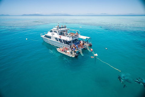 Ocean Freedom Great Barrier Reef Personal Luxury Snorkel & Dive Cruise, Cairns - Accommodation QLD 0