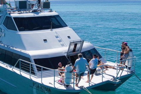 Ocean Freedom Great Barrier Reef Personal Luxury Snorkel & Dive Cruise, Cairns - Accommodation QLD 1