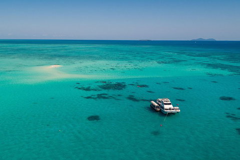 Ocean Freedom Great Barrier Reef Personal Luxury Snorkel & Dive Cruise, Cairns - Accommodation QLD 2