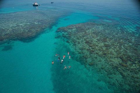 Ocean Freedom Great Barrier Reef Personal Luxury Snorkel & Dive Cruise, Cairns - Accommodation QLD 3