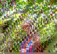 5 Day Australia Retreat Queensland Daintree - Accommodation QLD