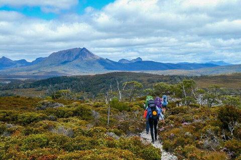6 Day Trek The Cradle Mountain Overland Track - Accommodation QLD 5