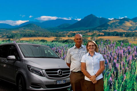 Full Day Small Group Luxury Tour To Tamborine Mountain - Accommodation QLD 3