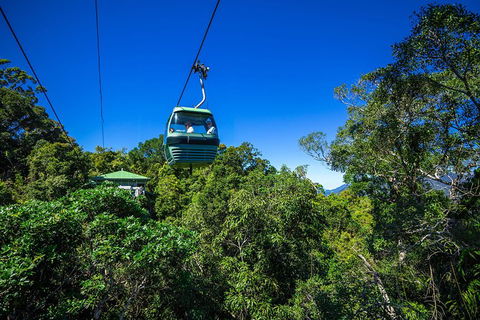 Classic Kuranda By Skyrail And Scenic Railway Including Rainforestation, Koala And Wildlife Park And Pamagirri Aboriginal Experi - Accommodation QLD 0