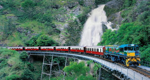 Classic Kuranda By Skyrail And Scenic Railway Including Rainforestation, Koala And Wildlife Park And Pamagirri Aboriginal Experi - Accommodation QLD 1