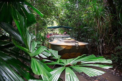 Classic Kuranda By Skyrail And Scenic Railway Including Rainforestation, Koala And Wildlife Park And Pamagirri Aboriginal Experi - Accommodation QLD 4