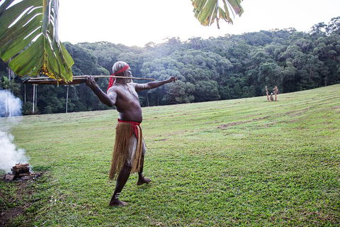 Classic Kuranda By Skyrail And Scenic Railway Including Rainforestation, Koala And Wildlife Park And Pamagirri Aboriginal Experi - Accommodation QLD 5