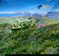 Best of Kuranda Including Skyrail Kuranda Scenic Railway and Rainforestation - Accommodation QLD