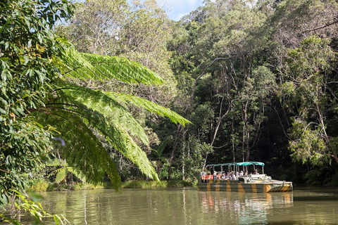 Best Of Kuranda Including Skyrail, Kuranda Scenic Railway And Rainforestation - Accommodation QLD 5