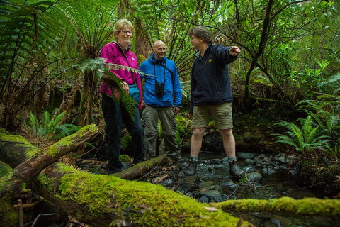 Bruny Island Traveller - Gourmet Tasting And Sightseeing Day Trip From Hobart - Accommodation QLD 1