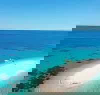 Ocean Safari Great Barrier Reef Experience in Cape Tribulation - Accommodation QLD