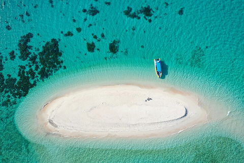 Ocean Safari Great Barrier Reef Experience In Cape Tribulation - Accommodation QLD 3