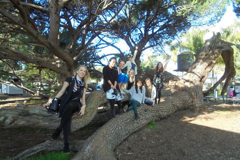 1/2 Day Swan Valley Wine Cheese & Chocolate Tour Inc Afternoon Cruise To Perth - Accommodation QLD 0