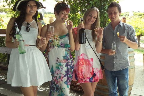 1/2 Day Swan Valley Wine Cheese & Chocolate Tour Inc Afternoon Cruise To Perth - Accommodation QLD 4