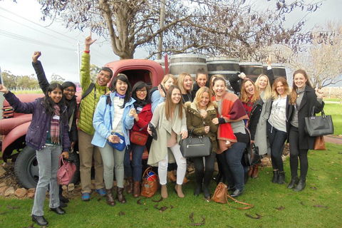 1/2 Day Swan Valley Wine Cheese & Chocolate Tour Inc Afternoon Cruise To Perth - Accommodation QLD 5