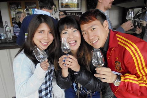 Wine Tasting Day Trip And Swan Valley River Cruise To Perth - Accommodation QLD 3