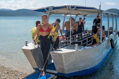 Fitzroy Island Day Trip From Cairns - Accommodation QLD 5