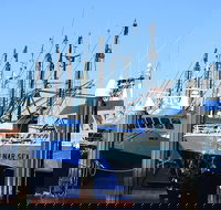 One Day Port Lincoln Tour - Tasting Eyre - Accommodation QLD