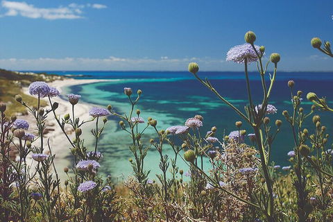 Rottnest Island Full-Day Trip With Guided Island Tour From Perth - Accommodation QLD 2