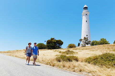 Rottnest Island Full-Day Trip With Guided Island Tour From Perth - Accommodation QLD 4