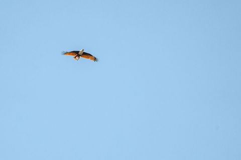 North Stradbroke Island Day Trip From Brisbane - Accommodation QLD 4