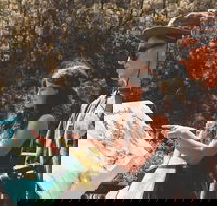 Springbrook andTamborine Rainforest Tour Incl Natural Bridge and Glow Worm Cave - Accommodation QLD