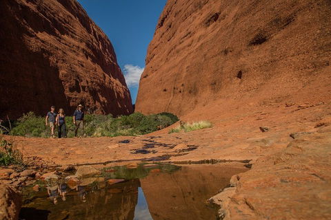 4 Day/3 Night Perentie Dreaming Safari - Accommodation QLD 3