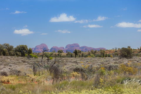 Overnight Uluru (Ayers Rock) Small-Group Camping Tour - Accommodation QLD 0