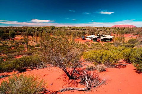 Overnight Uluru (Ayers Rock) Small-Group Camping Tour - Accommodation QLD 2