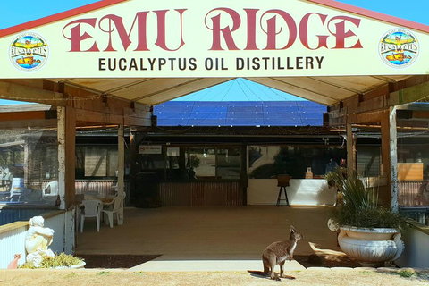 2 Day Ultimate Kangaroo Island With Return Ferry - Accommodation QLD 3