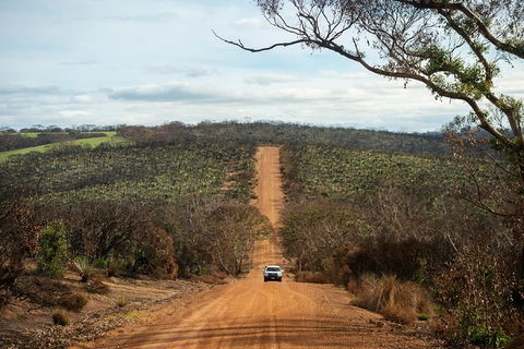 NEW TOUR - Kangaroo Island Road To Recovery Tour (1 Day/1 Night) - Accommodation QLD 2
