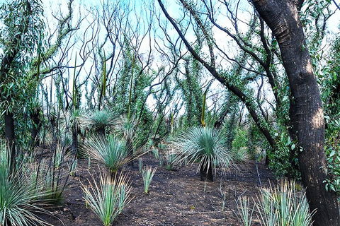 NEW TOUR - Kangaroo Island Road To Recovery Tour (1 Day/1 Night) - Accommodation QLD 3