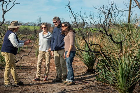 NEW TOUR - Kangaroo Island Road To Recovery Tour (1 Day/1 Night) - Accommodation QLD 4